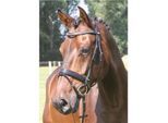 Hans Melzer Horse Equipment Hans Melzer Trense Kreuth schwarz/silber WB EXTRA (KB-Kaltblut)