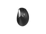 RAPOO EV250.BLK Wireless Ergonomic Mouse