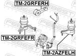 FEBEST Lagerung, Motor tm2grfefr vorne rechts für TOYOTA