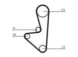 CONTINENTAL CTAM Wasserpumpe + Zahnriemensatz ct1066wp1 für Peugeot Citroën