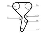 CONTINENTAL CTAM Wasserpumpe + Zahnriemensatz ct1179wp4 für RENAULT