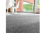 Teppichboden ANDIAMO "Rubinoy, Schlinge, Gesamthöhe 8,5 mm, Luxusklasse LC2", grau (anthrazit), B:400cm L:700cm, Kunstfaser, Teppiche, Teppichboden, Breite 400 cm oder 500 cm, Wohnzimmer, strapazierfähig & robust