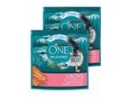 Purina ONE Wild Sense Reich an Lachs 2x1,4 kg