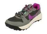 Nike Acg Lowcate Herren Turnschuhe Grau