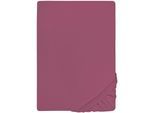 Spannbettlaken BIBERNA "THEA Baumwoll-Jersey mit Elasthan, 160 g/m²", lila (brombeer), 1 Stk., Jersey-Elasthan, 90-100x190-220 25cm, Jersey-Elasthan, Obermaterial: 97% Baumwolle, 3% Elasthan, Bettlaken, Spannbettlaken, Bettlaken für Matratzen bis 25 cm Höhe, pflegeleicht, bügelfrei