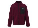 Regatta Kinder/Kids Frankie Full Zip Fleecejack (Donker Pimento)