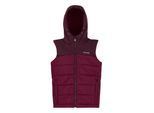 Regatta Lofthouse Bodywarmer voor kinderen/Kinderen (Vijg/Dark Pimento)