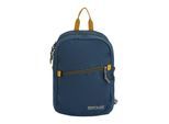 Regatta Unisex Volwassen Boulder 10L Rugzak (Nachtlucht)
