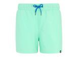 Regatta Heren Mawson II Zwemshort (Ijsgroen/Sonisch Blauw)