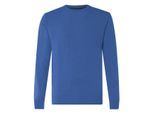The Blueprint Trui ronde hals