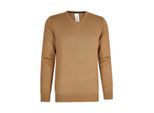 Hønk Camel katoenen pullover met v-hals