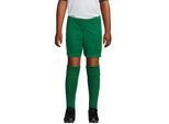 SOLS Kinderen/Kinderen San Siro 2 Shorts (Helder groen)