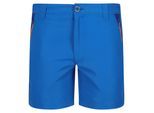 Regatta Kinderen/Kinderen Sorcer Mountain III Korte broek (Oxford blauw/Nieuw Royal)