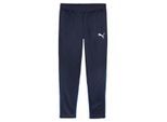 Puma Teamgoal training pant