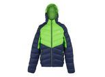 Regatta Heren Dalent Geïsoleerde Jas met capuchon (Groene flits/Navy)
