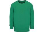 SOLS Columbia Kinder/Kinder Sweatshirt (Kelly Groen)