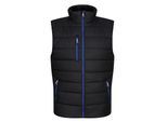 Regatta Thermische bodywarmer Navigate voor heren (Zwart/Nieuw Royal)