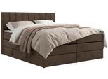 BOXSPRINGBETT ALVER KING 200/200 - Braun Velvet - H3