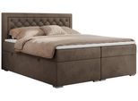 BOXBETT JASIR 140/200 - Braun Velvet - H3