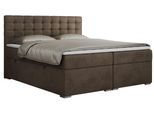 BOXBETT SUSAN 120/200 Braun Velvet - H3
