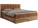 BOXBETT ALBERO 1 - 140/200 Orange Struktur - H3