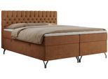 BOXBETT GRIMALDI 200/200 Orange Struktur - H4