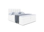 BOXSPRINGBETT RICAR KING - 140x200 - H3/H4 - Weiß Hochglanz
