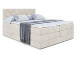 BOXSPRINGBETT CATOR KING - 140x200 - H3/H4 - Creme