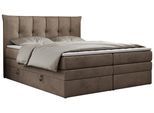 BOXSPRINGBETT PREMIUM 10 KING 160/200 Braun Velvet - H3