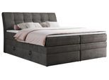 BOXSPRINGBETT GOLD-10 KING 180/200 Dunkelgrau Velvet - H3