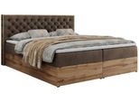BOXBETT ALBERO 3 - 180/200 Braun Velvet - H4