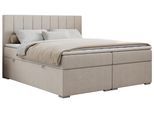 BOXBETT ALLY 200/200 Beige Struktur - H4