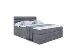 BOXSPRINGBETT CELESTIA KING - 200x200 - H3/H4 - Dunkelgrau