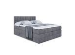 BOXSPRINGBETT MIAMI KING - 120x200 - H3/H4 - Dunkelgrau