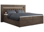 BOXBETT GOLD-6 LED 160/200 Braun Velvet - H4