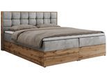 BOXBETT ALBERO 1 - 140/200 Hellgrau Velvet - H4