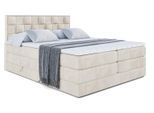 BOXSPRINGBETT ZAFIRA-BZ KING - 180 x 200 - H3/H4 - Ecru