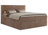 BOXBETT TILIANO 140/200 - Braun Cord - H4