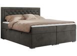 BOXBETT JASIR 120/200 - Dunkelgrau Velvet - H3