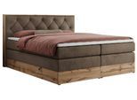 BOXSPRINGBETT VENETO KING 140/200 Braun Velvet - H4