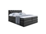 BOXSPRINGBETT MILTIO KING - 160x200 - H3/H4 - Schwarz Hochglanz