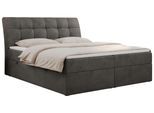 BOXBETT DIEGOS 120/200 Dunkelgrau Velvet - H4