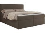 BOXBETT JAGUAR 200/200 - Braun Struktur - H3
