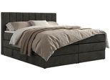 BOXSPRINGBETT ALVER KING 160/200 - Dunkelgrau Velvet - H4