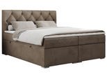 BOXBETT ALDA 140/200 Braun Velvet - H3