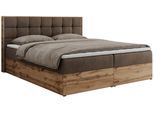 BOXBETT ALBERO 1 - 200/200 Braun Velvet - H3