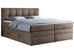 BOXSPRINGBETT ALVIN KING 160/200 Braun Velvet - H3