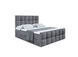 BOXBETT RICAR-Z - 200 x 200 - H4 - Dunkelgrau