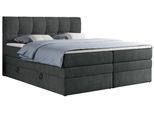 BOXSPRINGBETT ALVIN KING 180/200 Dunkelgrau Struktur - H4