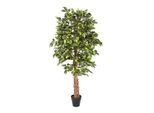KUNSTBAUM Ficus benjamini, 180 cm